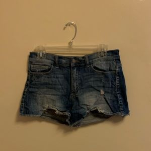 Francescas- Medium Wash Distressed Jean Shorts